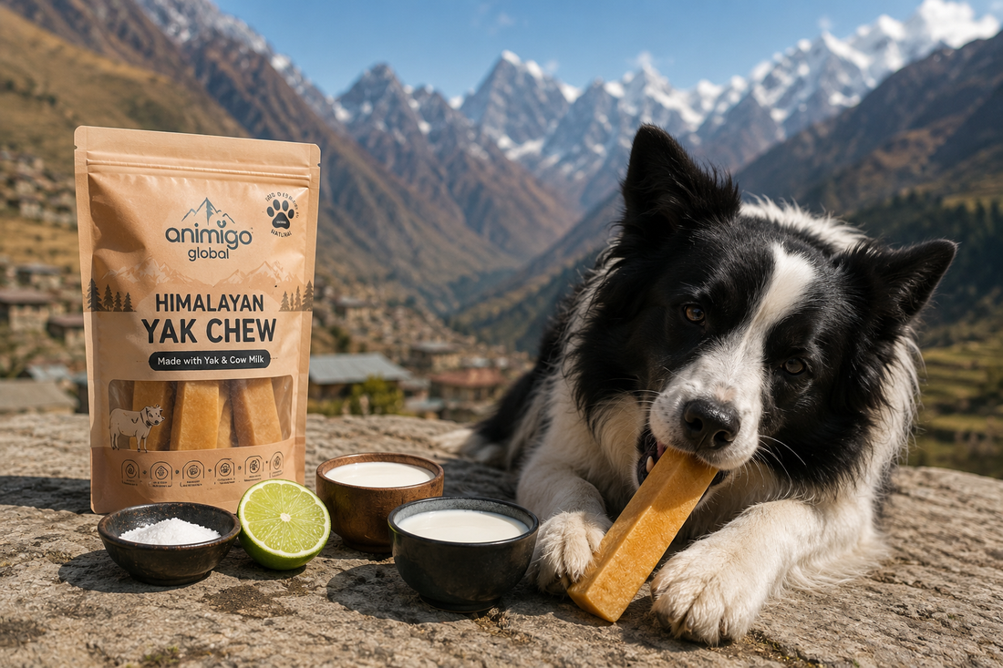 What is a Yak Milk Chew Churpi? Everything You Need to Know