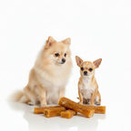 Small Dog Breed Enjoying Animigo Yak Cheese Churpi Chew – Natural Long Lasting