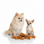 Small dog breeds with churpi